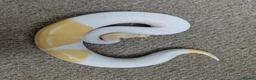 Python Snake reptiles for sale: Reduced 2025 Royal Pythons available  - Advert 6