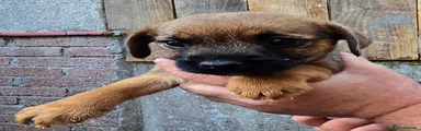 Boy. 