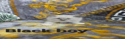Mixed Breed cats for sale: Beauty fluffy litter ragdoll-ragcoon mix - Advert 19