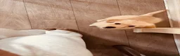 Golden Retriever dogs for sale: 💛 Heartbreaking Rehome – Golden Retriever Girl 💛 - Advert 6