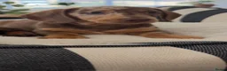 Miniature Dachshund dogs for sale: Miniature dachshund dapple female🤍 - Advert 2