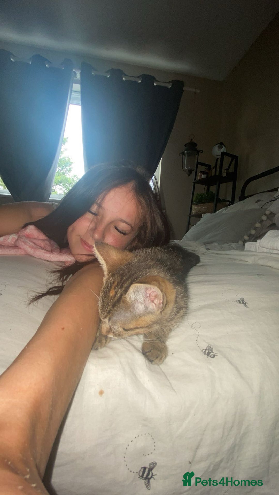 Bengal cats for sale: Beautiful baby bengal girl  - Advert 16