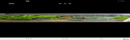Other/Mixed Breed fish for sale: Fish tank - Advert 1