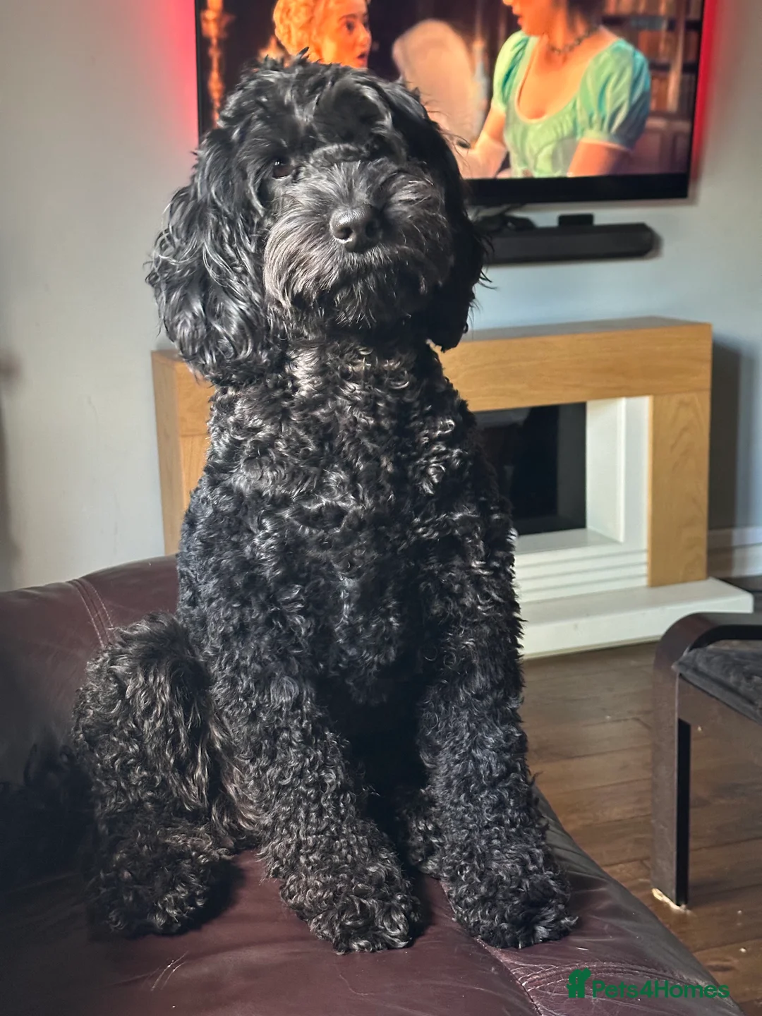 Gallery Image {{count}}