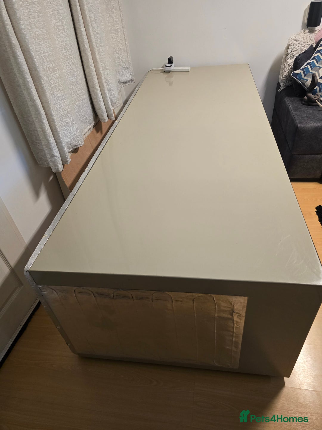 Python Snake reptiles for sale: Snake for sale - Image 6