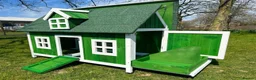 Chickens poultry for sale: Chicken coops with hens and rooster - Advert 6