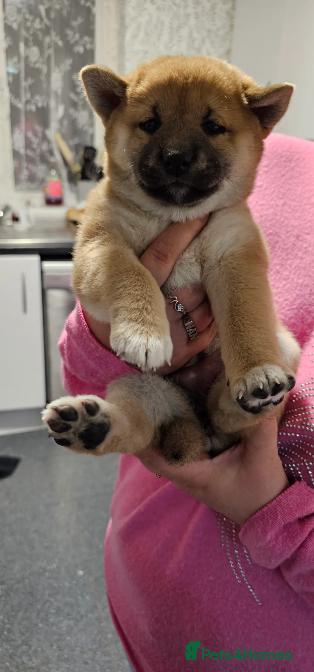 Gallery Image {{count}}