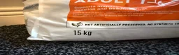 Domestic Shorthair cats for sale: Sandwich - Advert 22