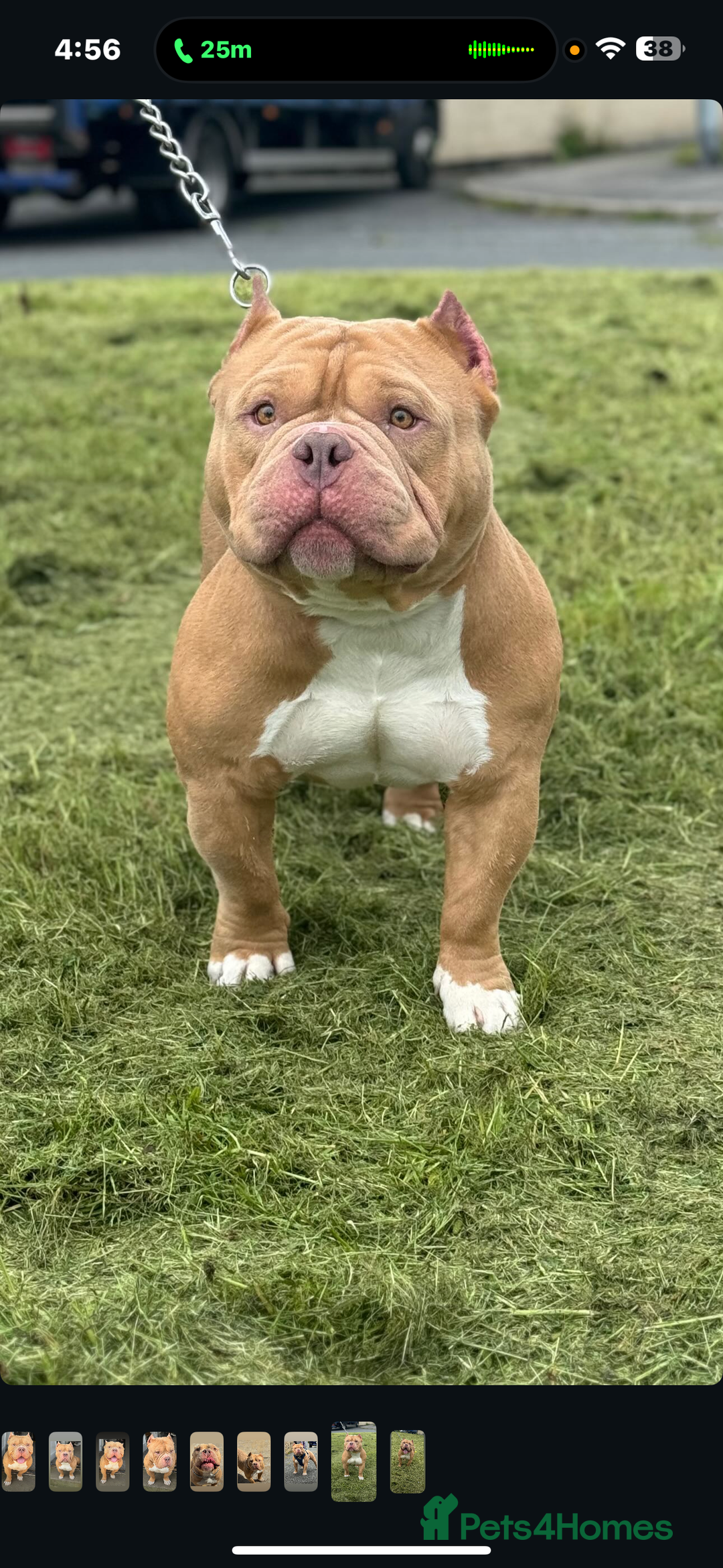 Gallery Image {{count}}