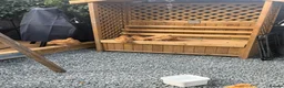Chickens poultry for sale: Young buff hens - Advert 1