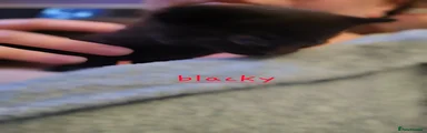 Blacky