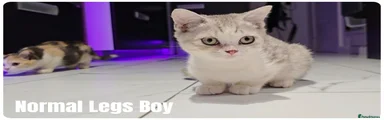Boy Normal Legs