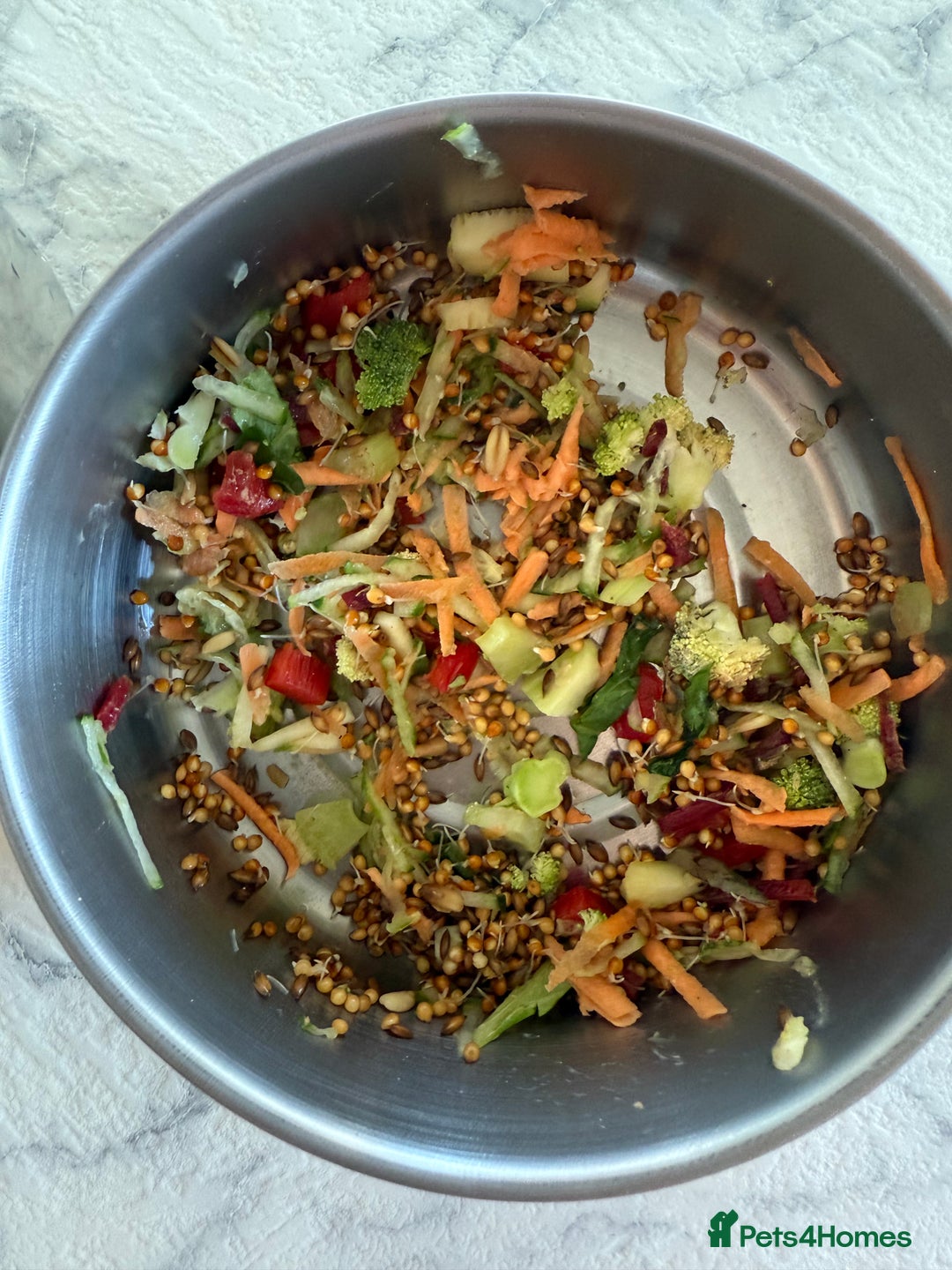 Budgerigars birds for sale: Young budgies happy&healthy in London - Image 32