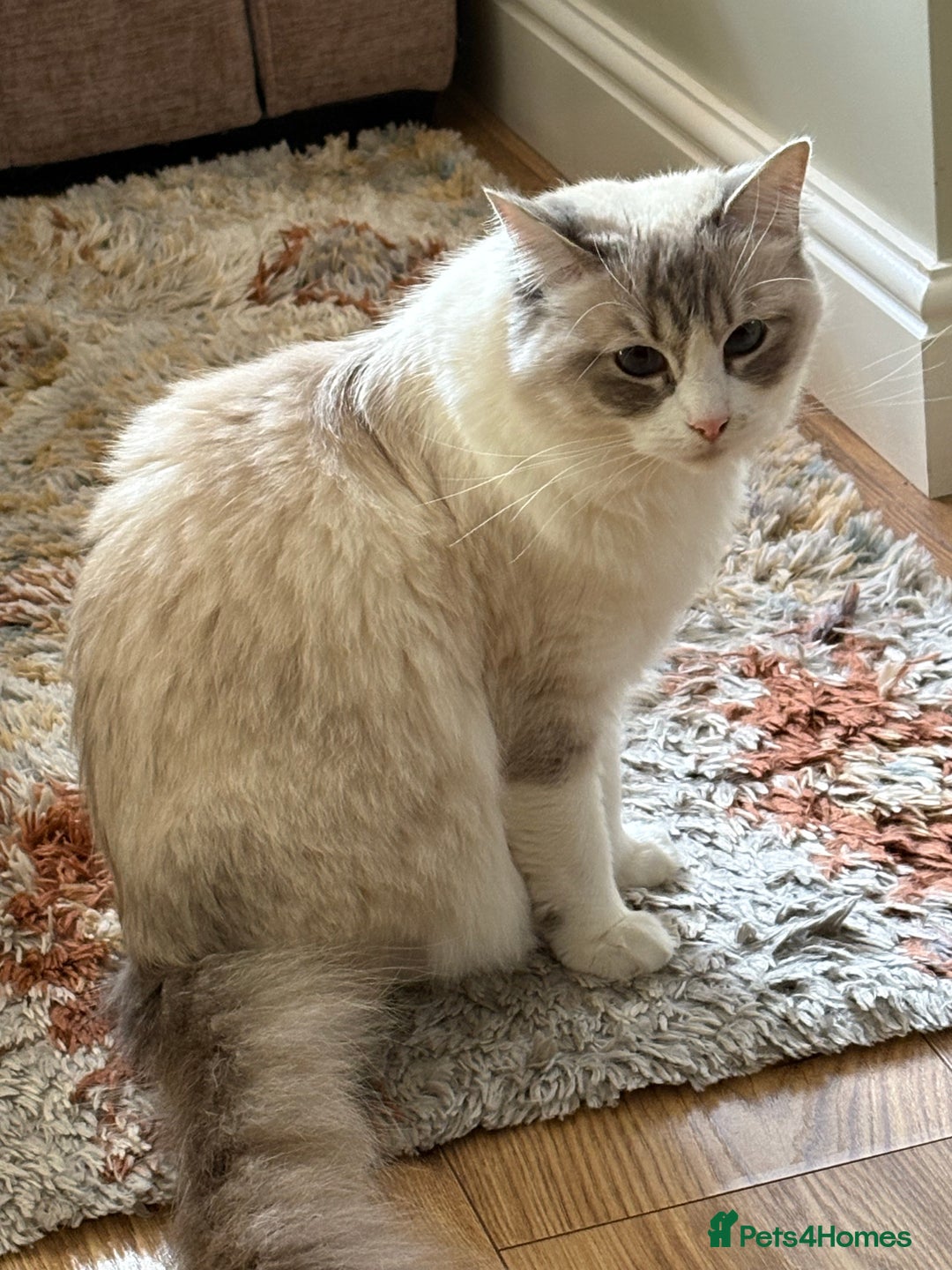 Gallery Image {{count}}