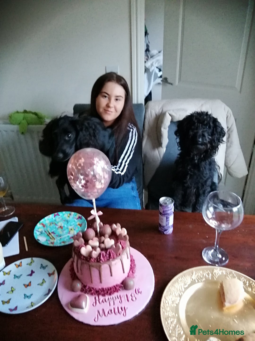 Gallery Image {{count}}