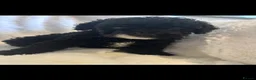 Miniature Poodle dogs for sale: Beautiful miniature poodle puppies  in Bishop Auckland - Advert 17