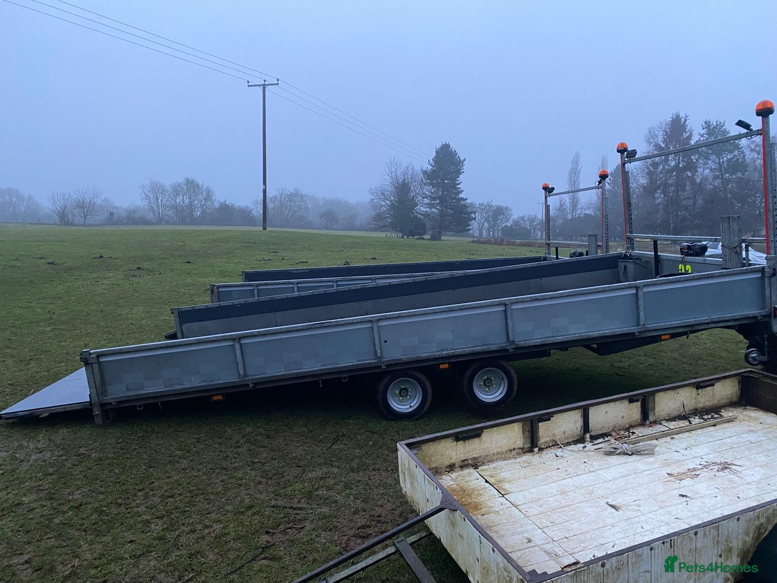 Mixed Breed livestock Tipping flat bed with sides - Advert 1