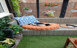 Mixed Breed cats for sale: Two indoor females seeking loving home together  - Image 20