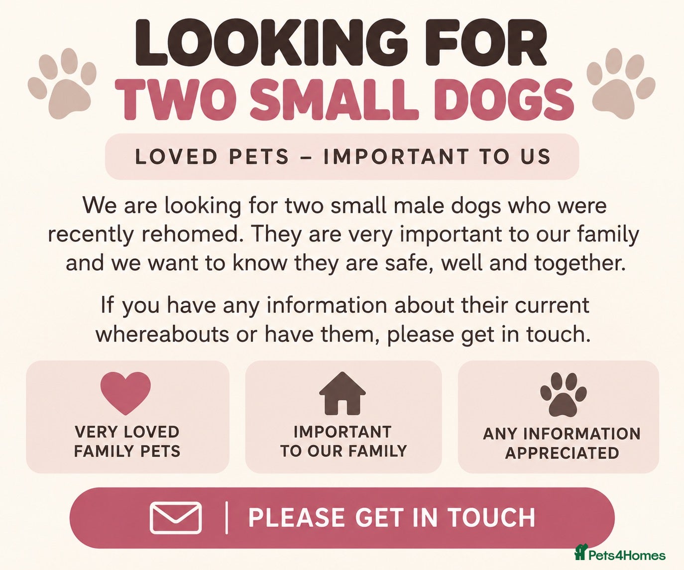 Yorkshire Terrier dogs MISSING DOGS IN LEEDS OR LIVERPOOL AREA  - Advert 1