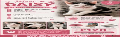 Mixed Breed 1