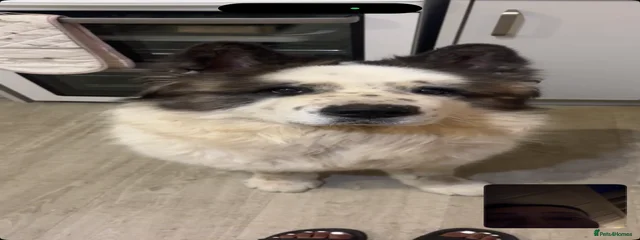 Zeke