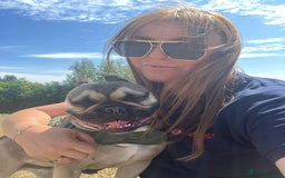 French Bulldog dogs for sale: Dexter Doos - Image 1