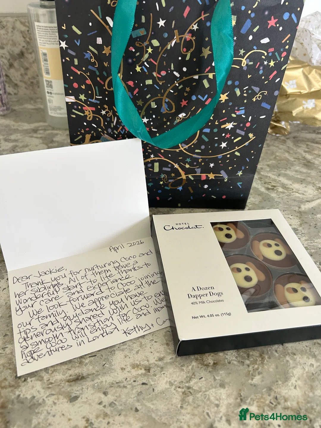 Cockapoo dogs for sale: High gloss black tuxedo puppies - Advert 10