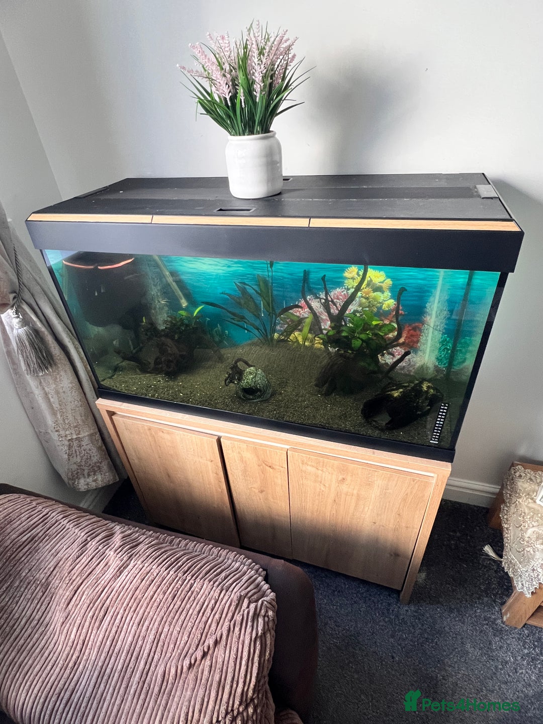 Catfish fish for sale: Fish tank  with stand 200L  - Image 1