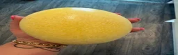 Mixed Breed poultry for sale: Fertile rhea hatching eggs  - Advert 3