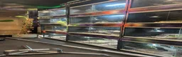 Leopard Gecko reptiles for sale: male and female leopard geckos plus tanks - Advert 10