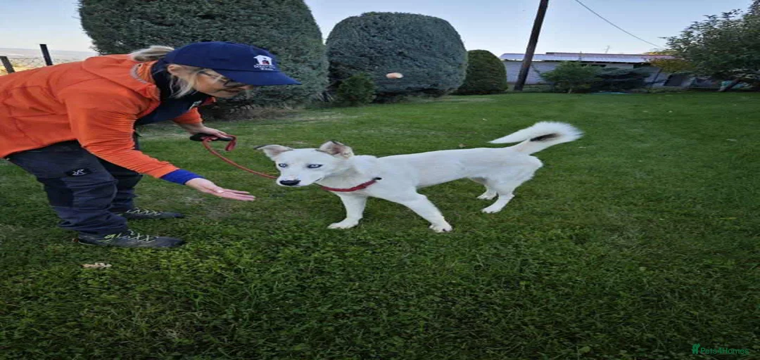 Gallery Image {{count}}