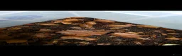 Isopods invertebrates for sale: GAINT ORANGE ISOPODS 🍊  - Advert 5
