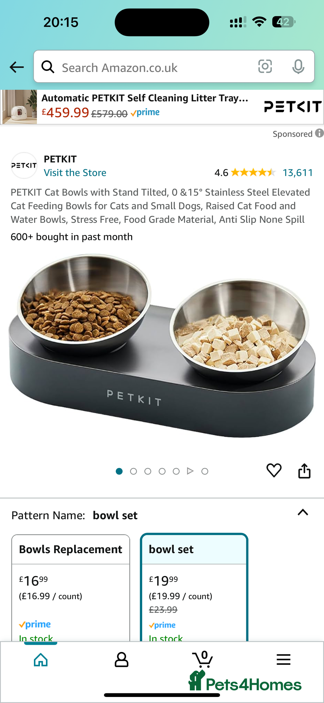 Ragdoll cats for sale: Beautiful Male Pure Full Breed Ragdoll Cat - Advert 10