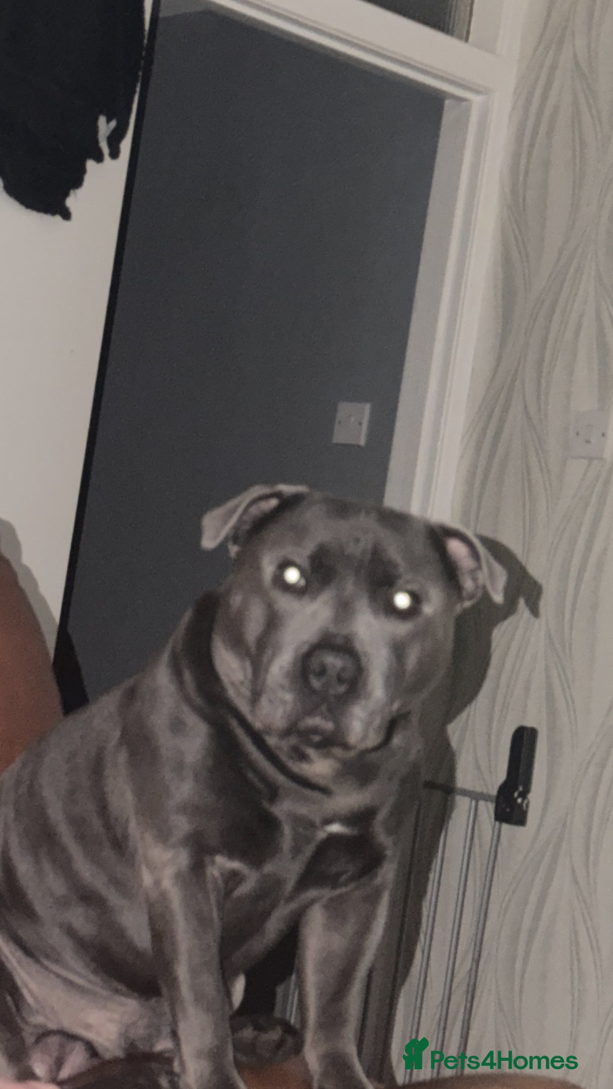 Zee