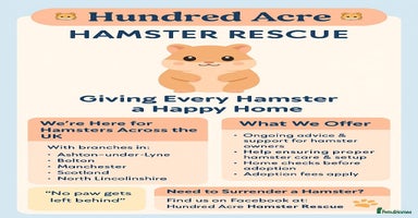 Hamster rodents - Advert 7