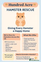 Hamster rodents - Advert 3