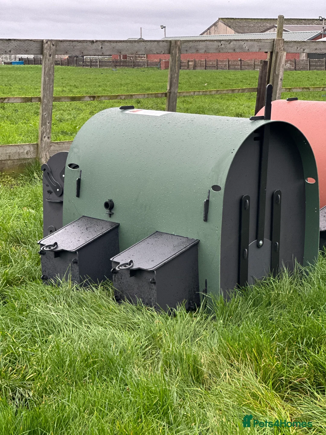 Mixed Breed poultry for sale: Hen House - Recycled - 6 Large Hens - Advert 7