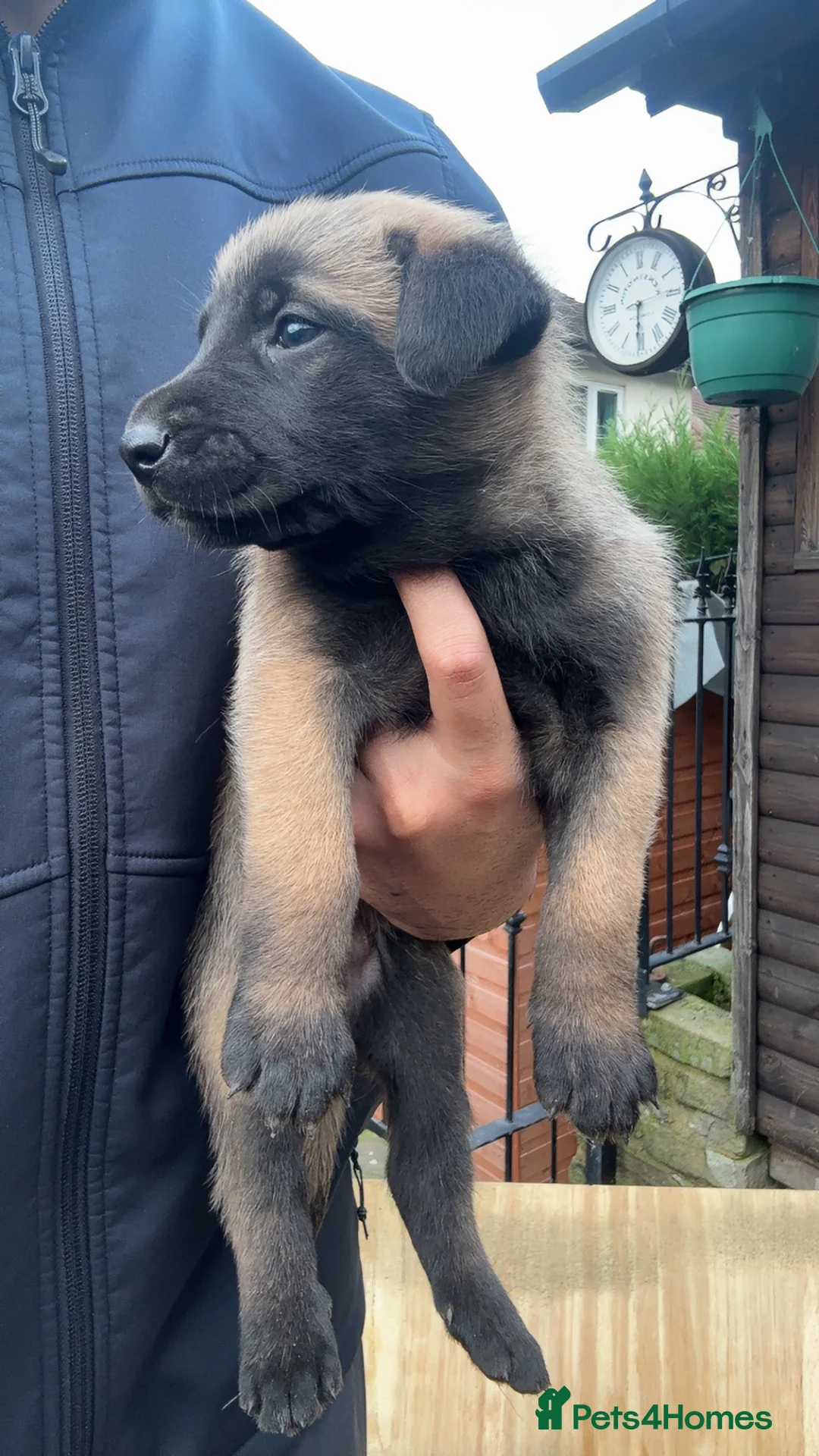 Gallery Image {{count}}