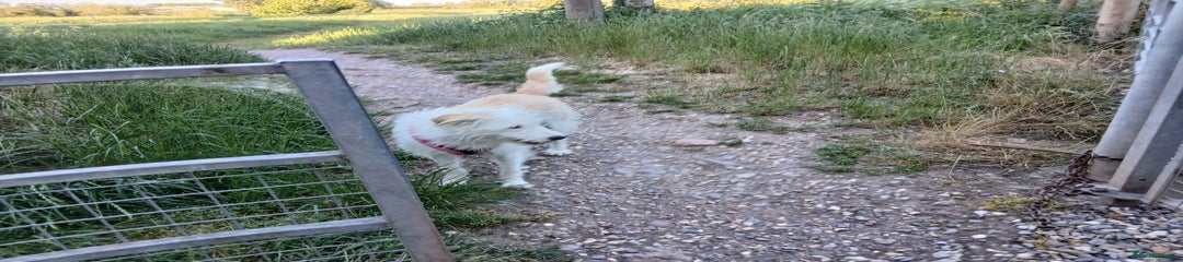 Alma 