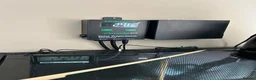 Gecko reptiles for sale: Gargoyle gecko in Stoke-on-Trent - Advert 12