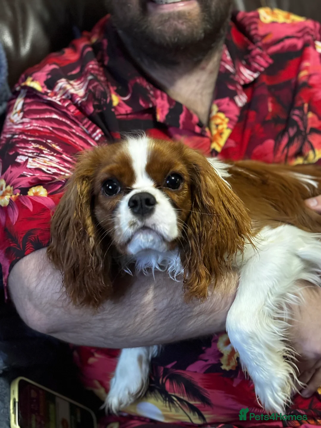 Gallery Image {{count}}