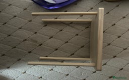 Hamster rodents for sale: Russian Dwarf Hamster  - Image 12