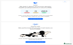 Chow Chow dogs for stud: Zoro Black Merle STUD Carrying Blue 💙 & Choc 🍫 - Advert 8