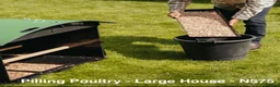 Chickens poultry for sale: Pilling Poultry - Large House - Poultry - Advert 10