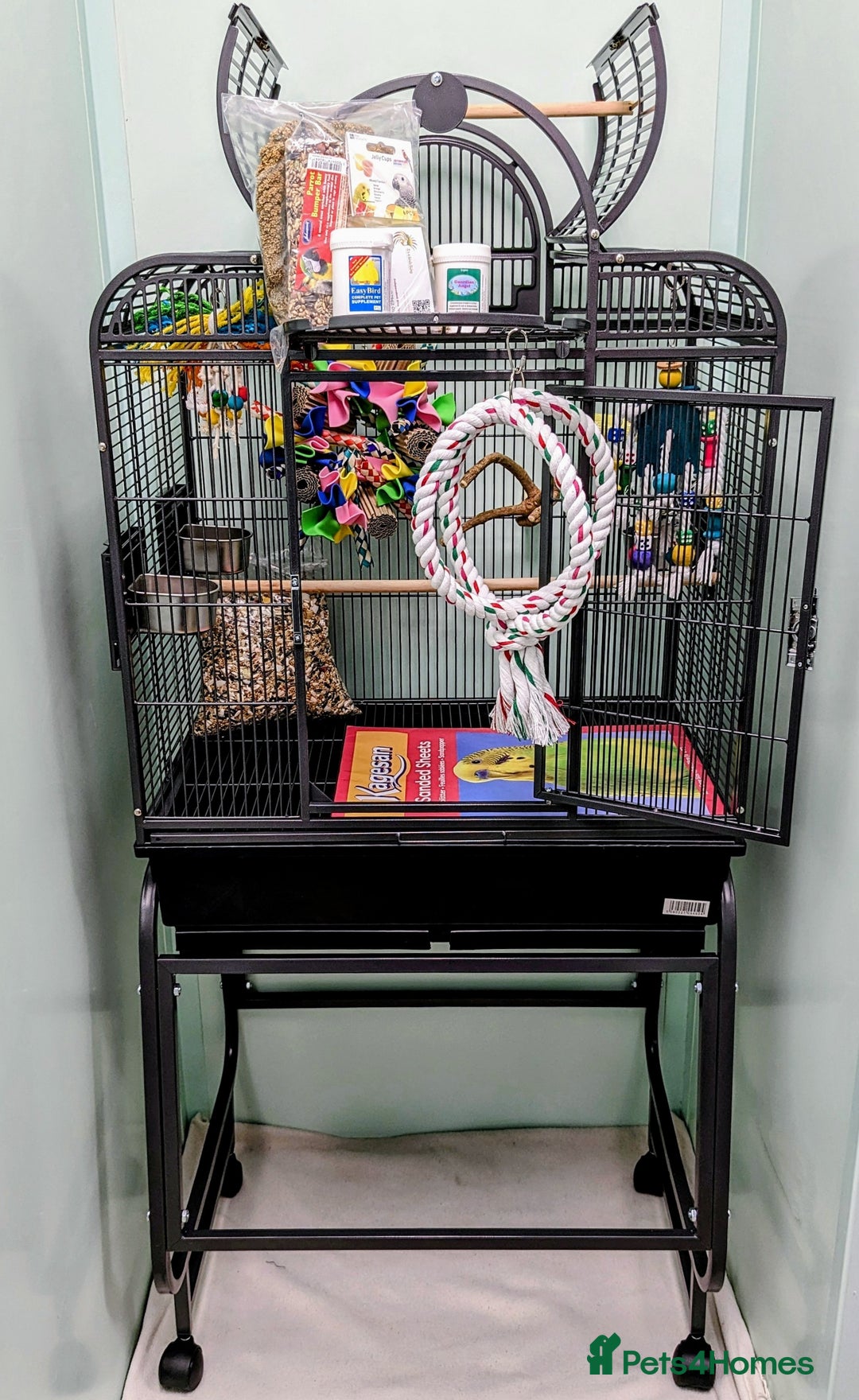 Cockatiels birds for sale: Beautiful Cockatiels & Kakarikis available now!!! - Advert 9