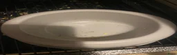 Rat rodents for sale: Cage and accessories  - Advert 10