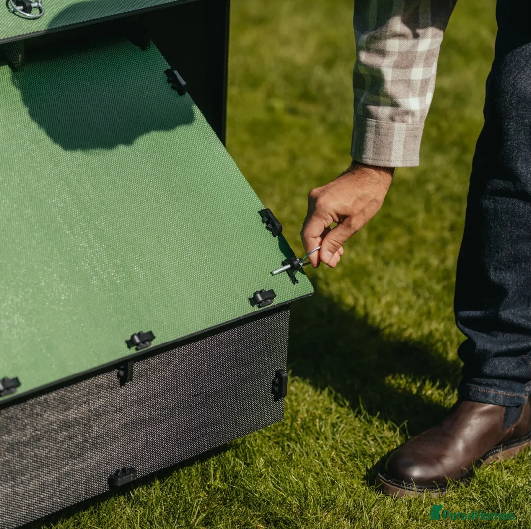 Mixed Breed poultry for sale: Chicken Coop House Large - Recycled - 8/15 Hens - Advert 5