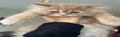 Kitty 2