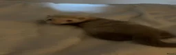 Ferret rodents for sale: Ferret kitts  in Tamworth - Advert 4
