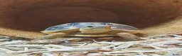 Tortoise reptiles for sale: Dwarf western hermann tortiose in Portsmouth - Advert 1